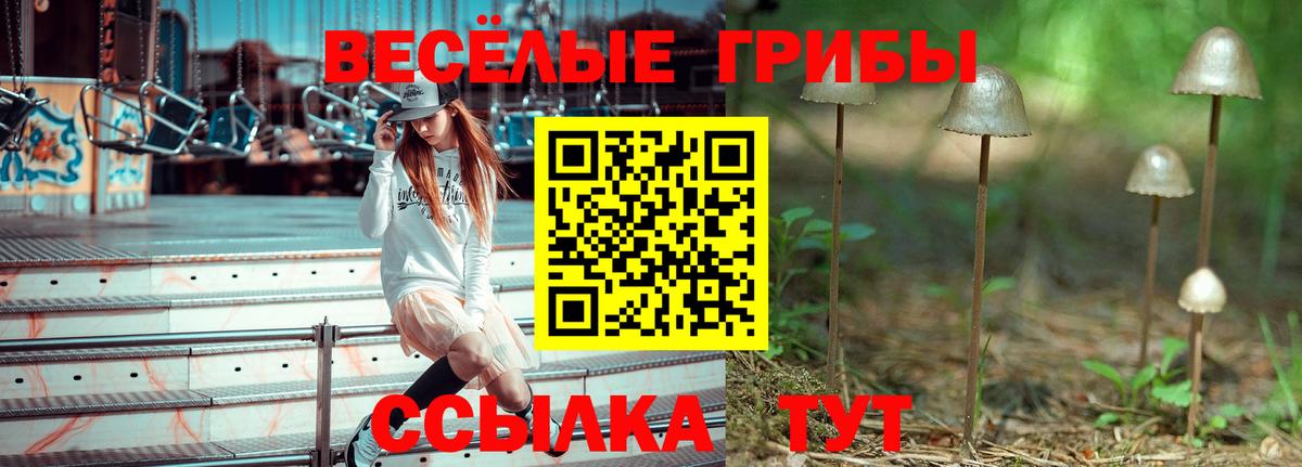 Прокопьевск  купить наркотик  Вход с VPN  Галлюциногенные грибы GOLDEN TEACHER  Псилоцибиновые грибы MAGIC MUSHROOMS 